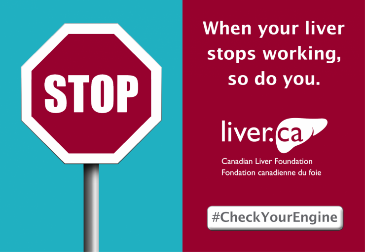 Liver Stops-CLF Display Ad 580x400-2018.png